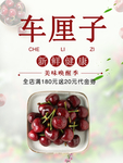 车厘子海报展板水果