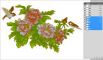 牡丹花