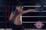 儿童格斗 泰拳 搏击 MMA