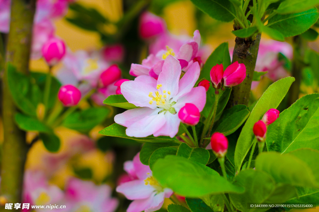 春暖花开