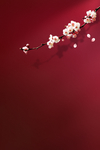 中国风红色