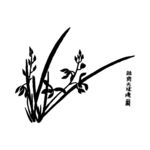 兰花