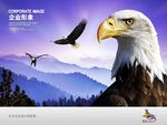 企业领导