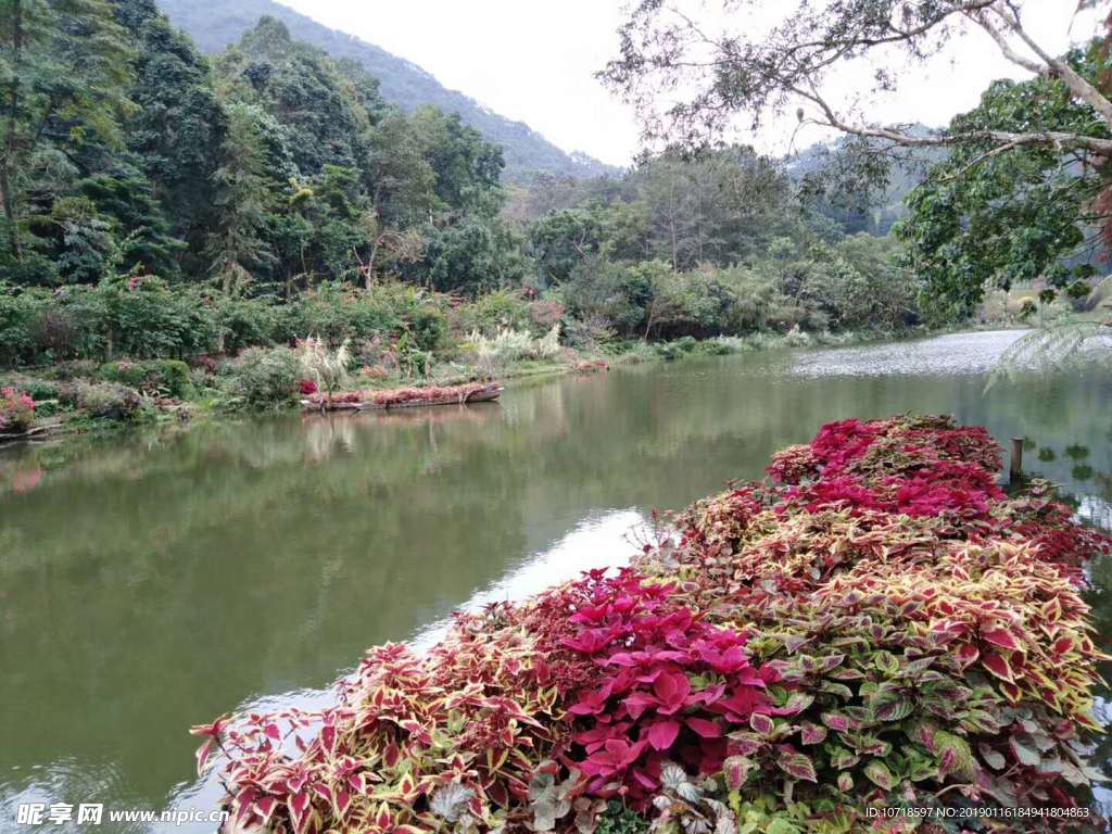 户外景观