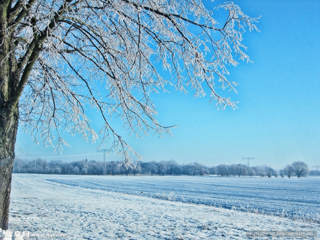 雪