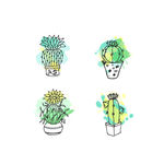 手绘植物花盆