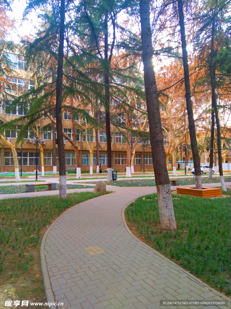 美丽的校园风景
