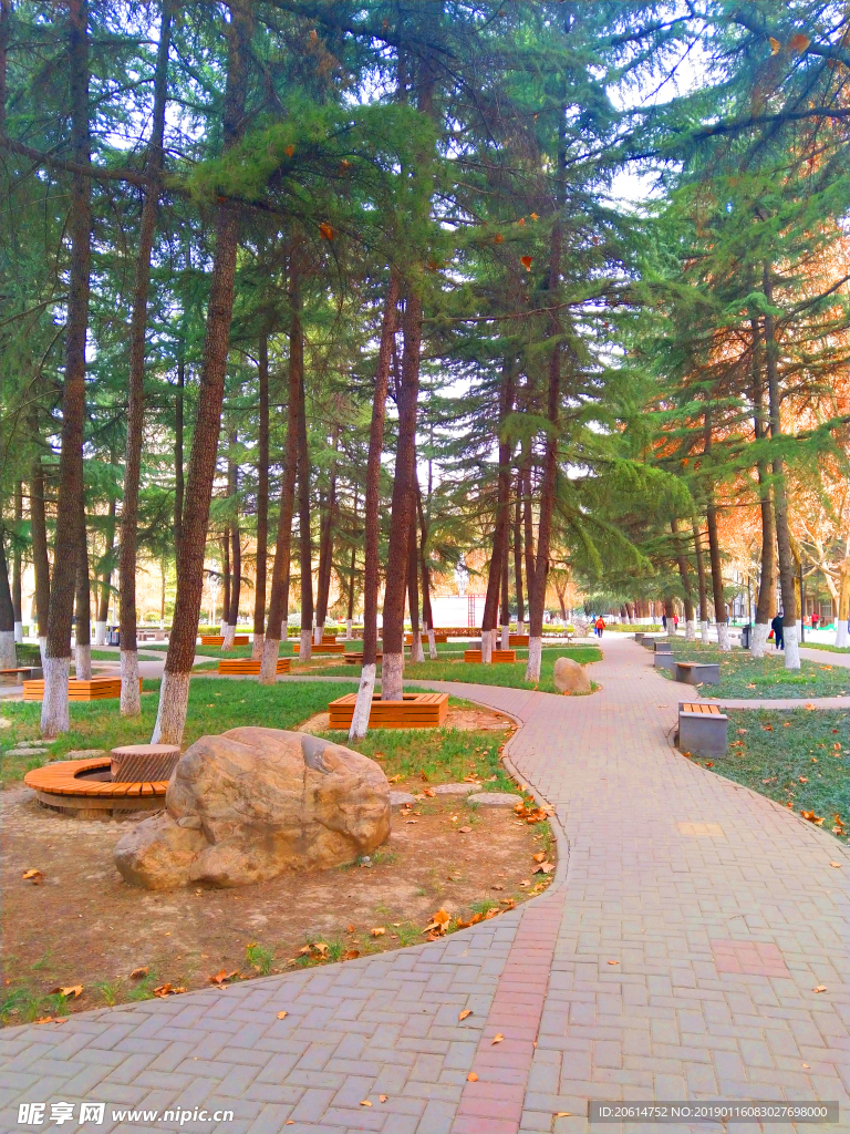 美丽的校园风景