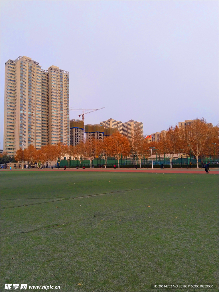 美丽的校园风景