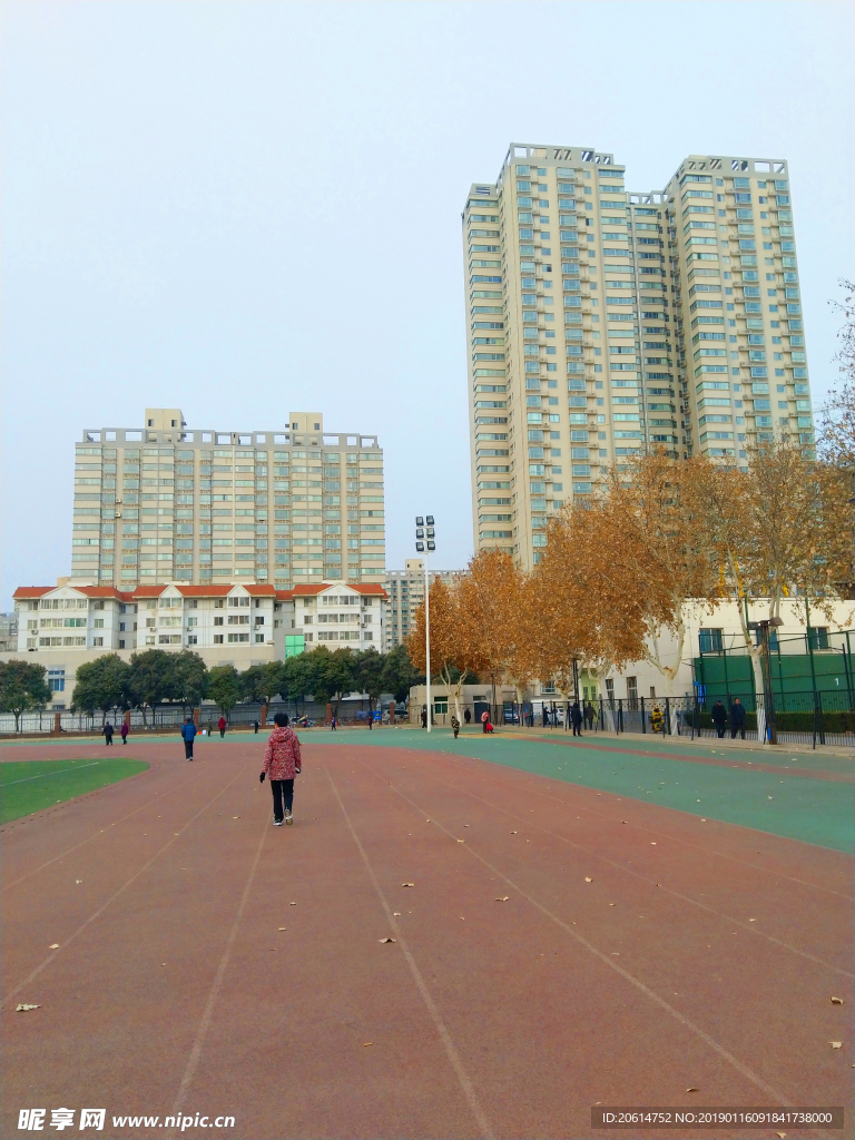深秋时节的校园风景