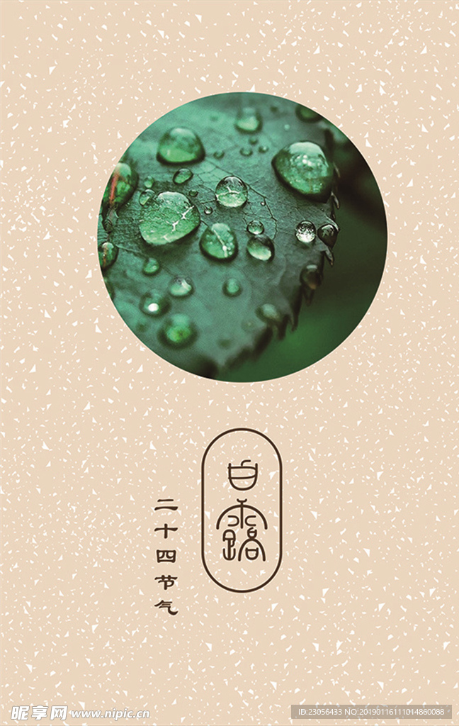 二十四节气-白露