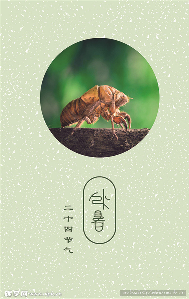 二十四节气-处暑