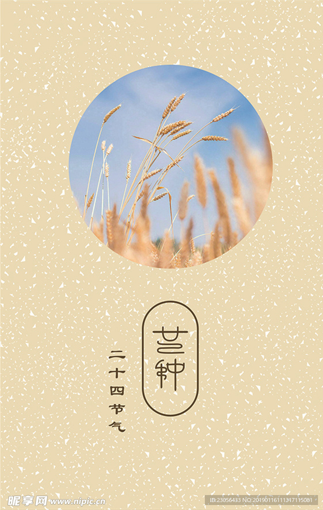 二十四节气-芒种