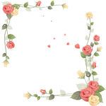 玫瑰花花边