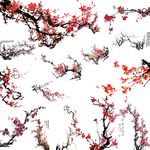 梅花素材