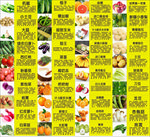 超市生鲜蔬菜分类标识牌
