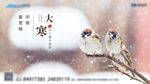 大寒  节气 下雪  动物