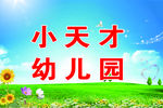 蓝色天空小花背景