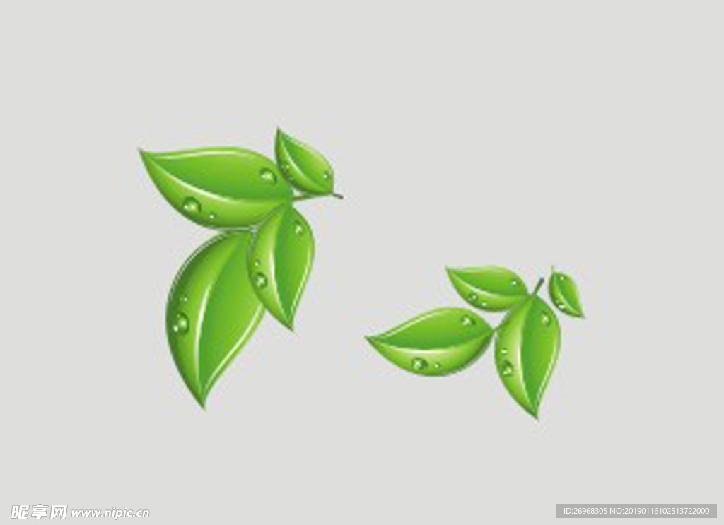 树叶