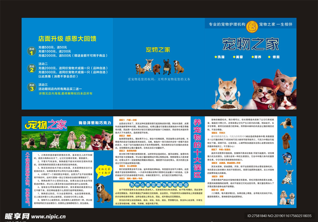 宠物宣传单
