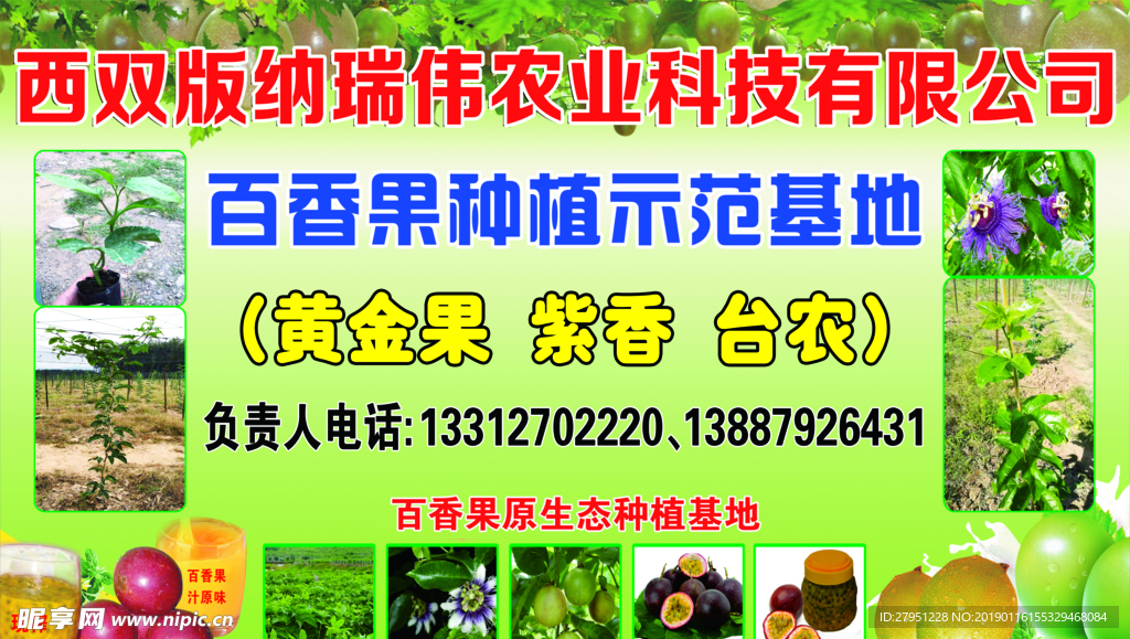 百香果种植