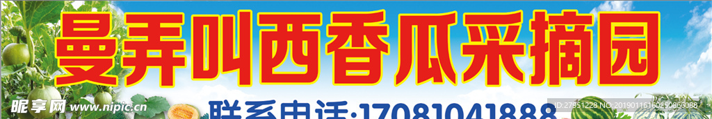 西瓜采摘园