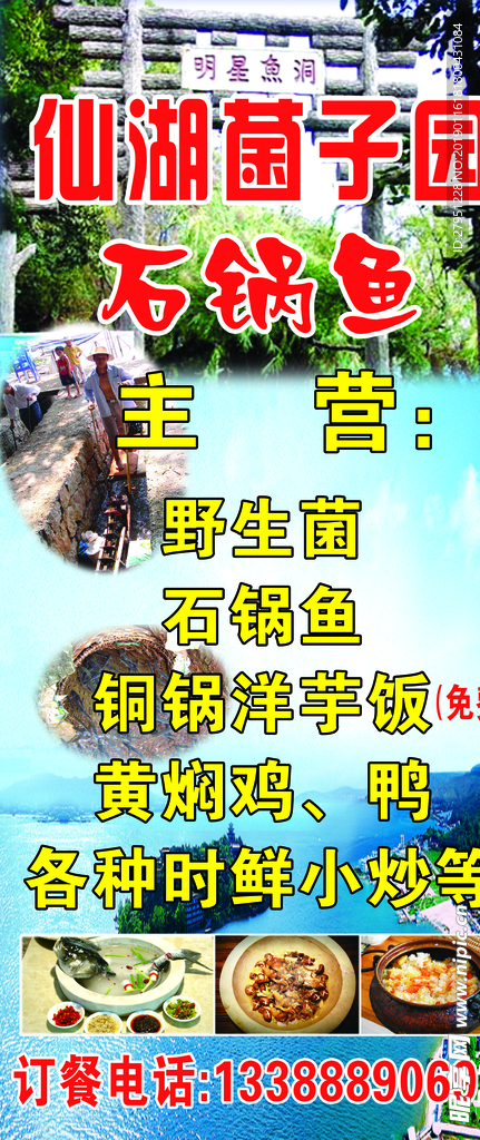 石锅鱼