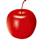 矢量红苹果