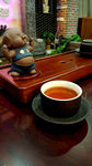 小猪茶宠