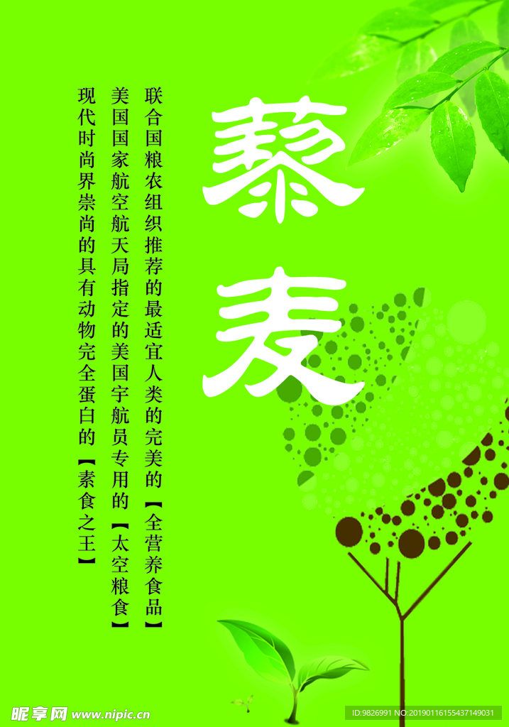 藜麦