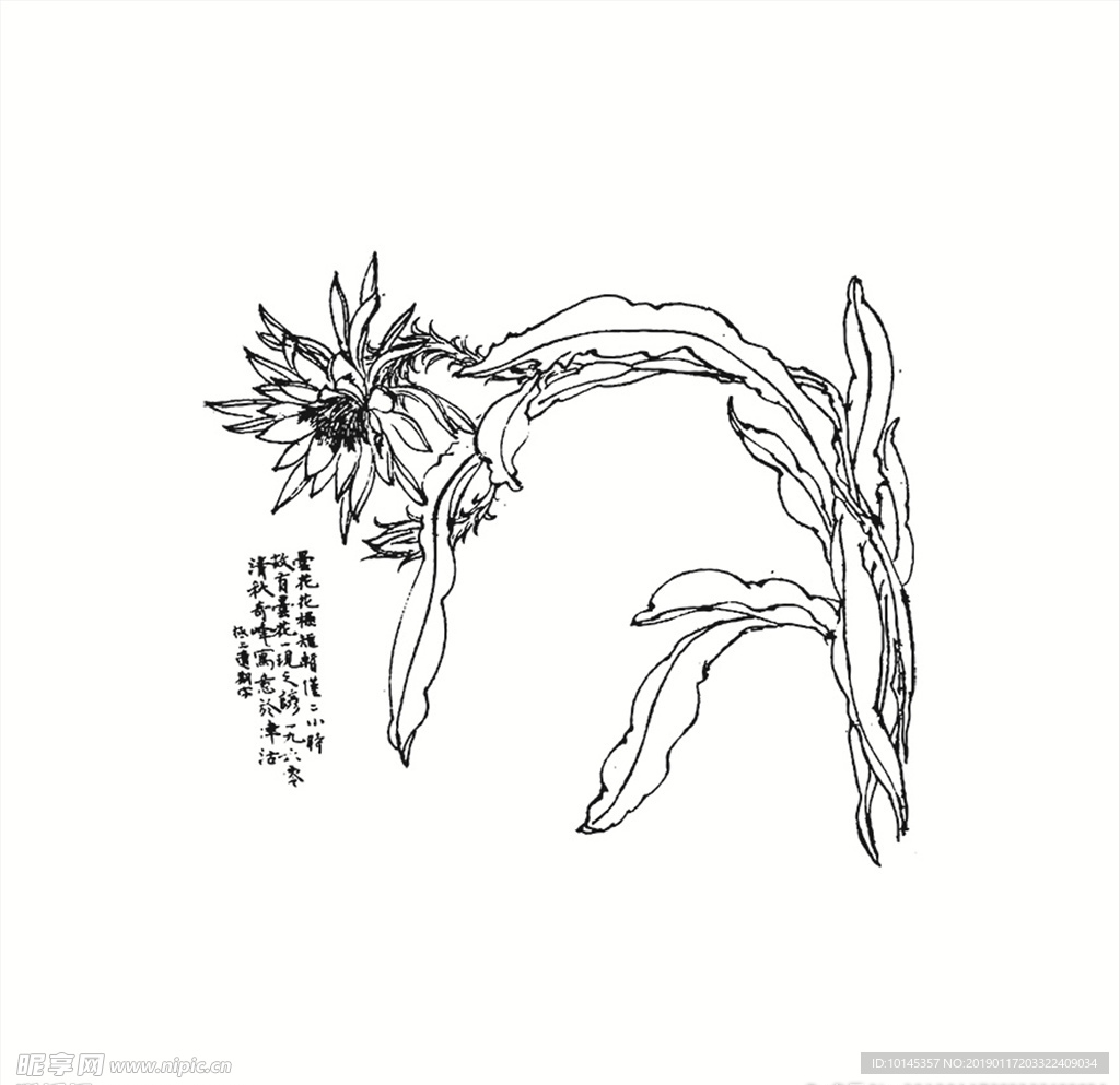 花卉