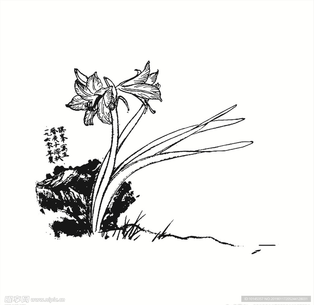 花卉