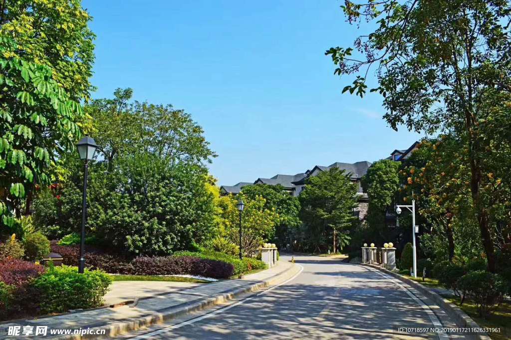 户外景观