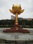 莲花广场