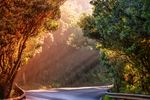 唯美公路图片