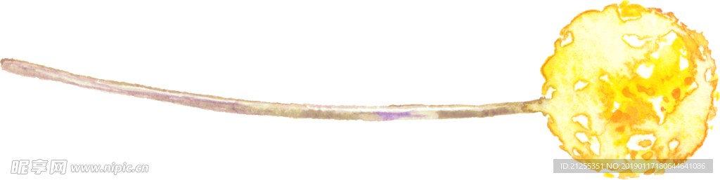 手绘花卉