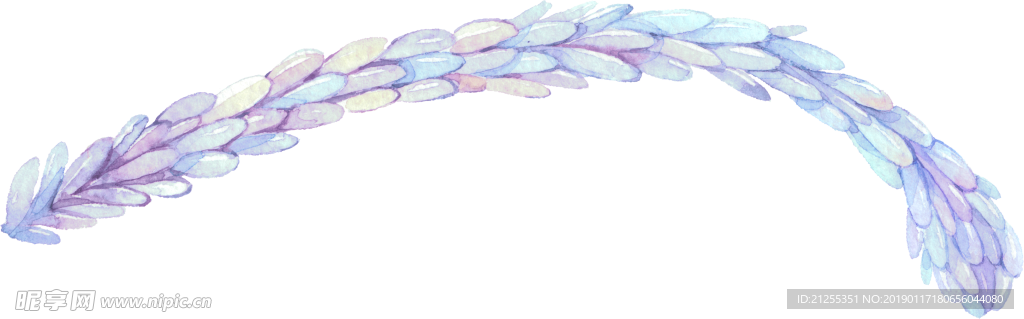 手绘花卉