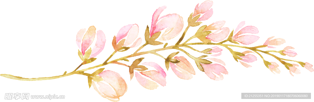 手绘花卉