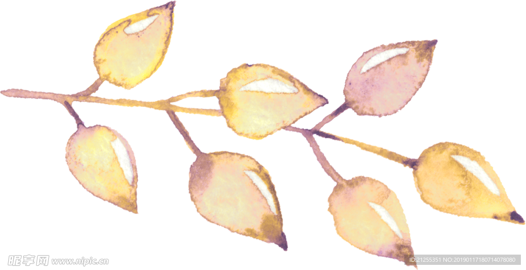 手绘花卉