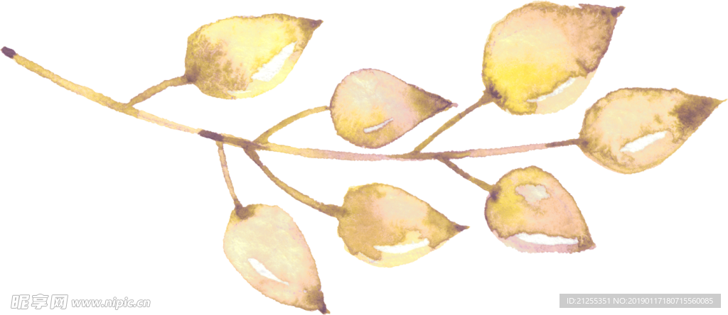 手绘花卉