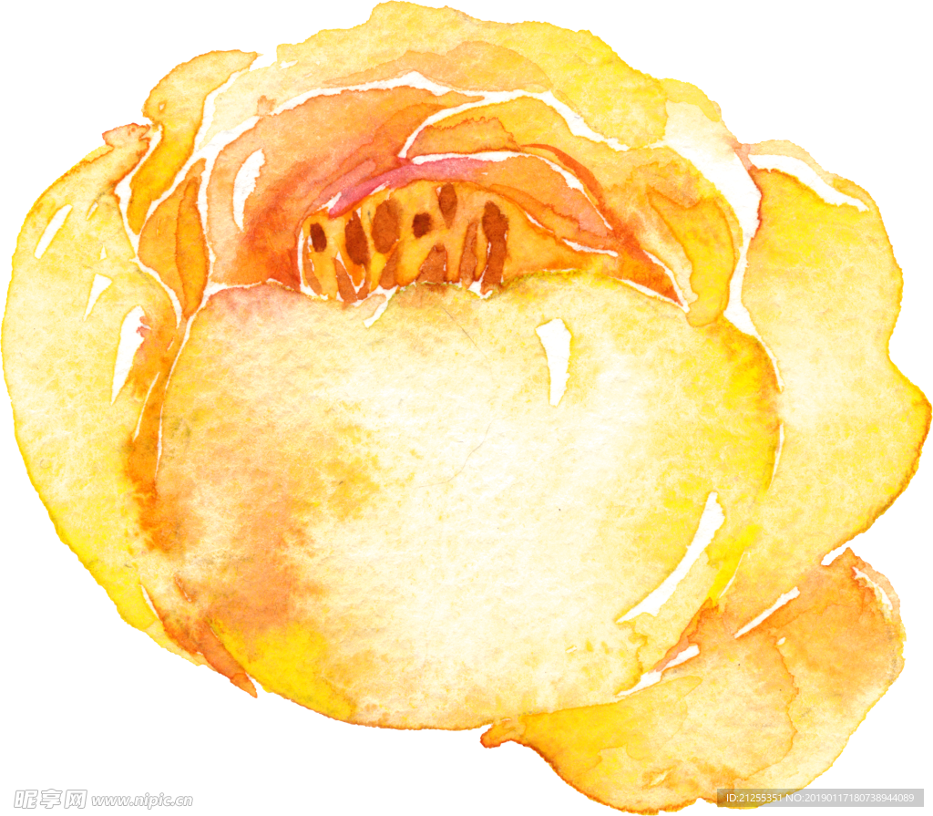手绘花卉
