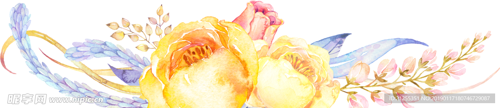 手绘花卉