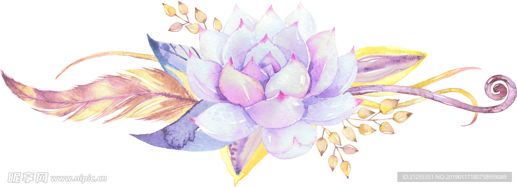手绘花卉