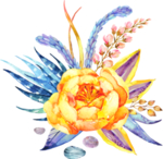 手绘花卉
