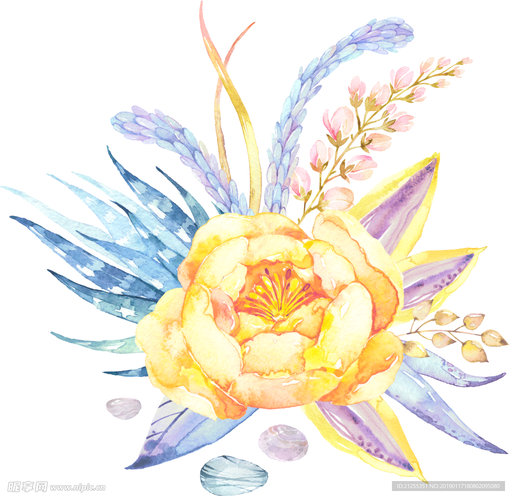 手绘花卉