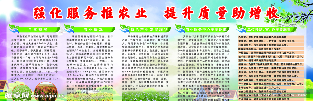 农业局版面