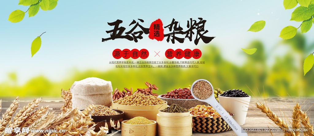 五谷杂粮食品Banner