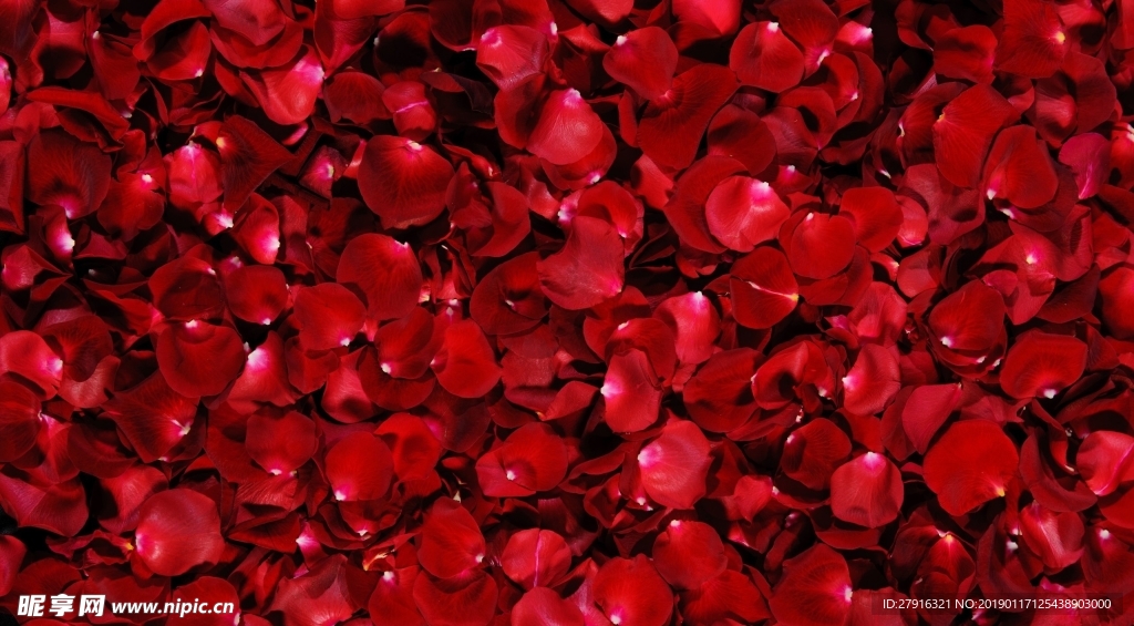花瓣