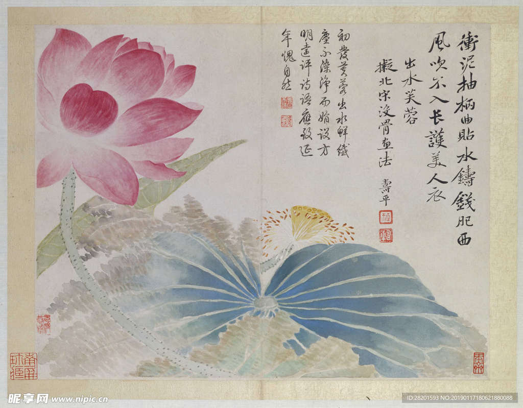 清 恽寿平 花鸟图册之荷花
