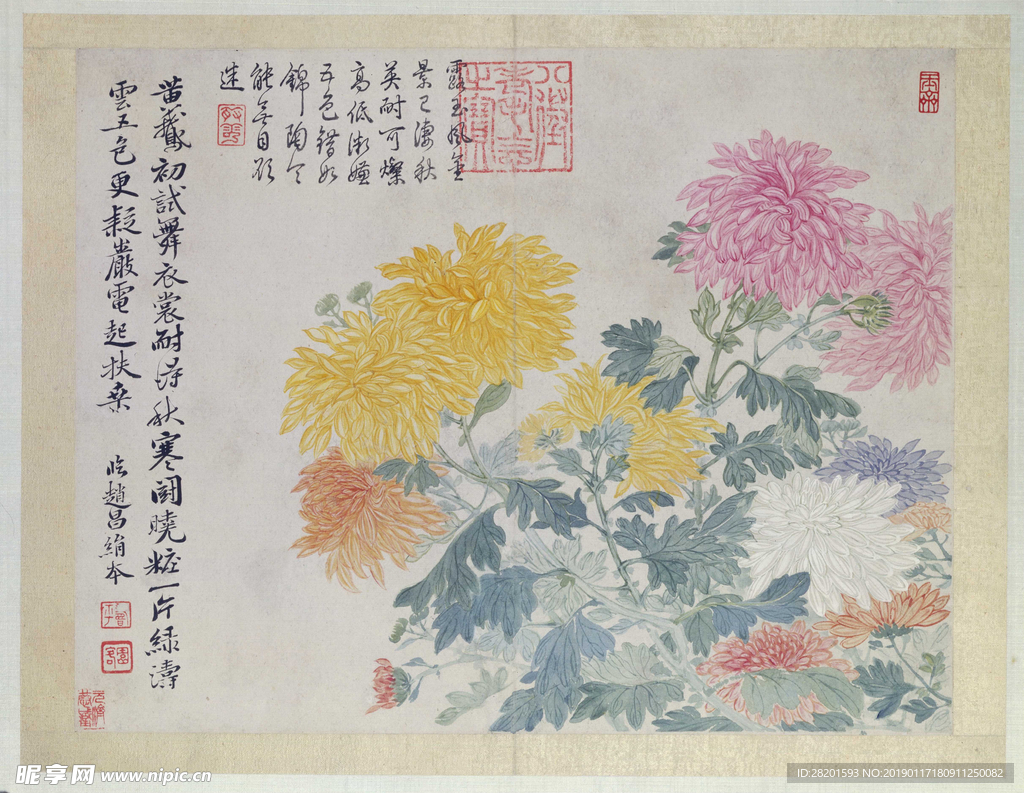 清 恽寿平 山水花鸟图册之菊花